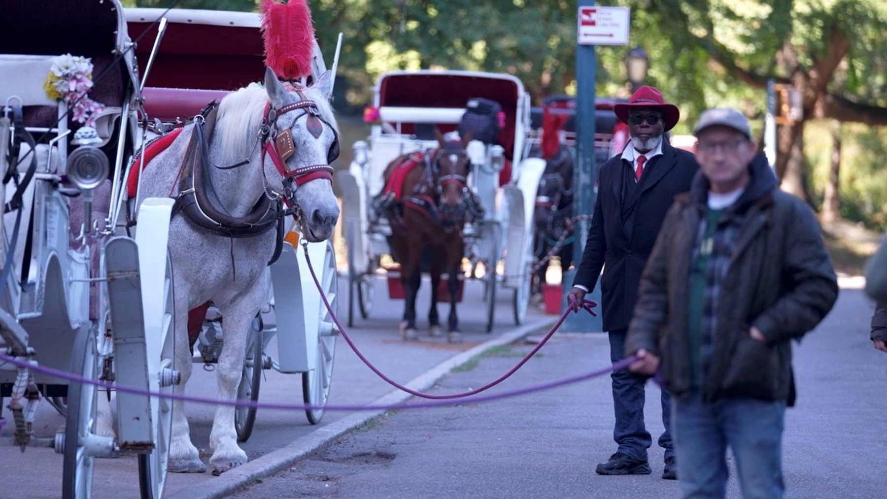 Horse-drawn carriage drivers and horses near Central Park, as shown in the BBC report on the council’s ban vote.
